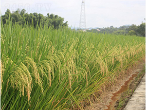 ��ռ��(y��u)��z-�G���N�I(y��)