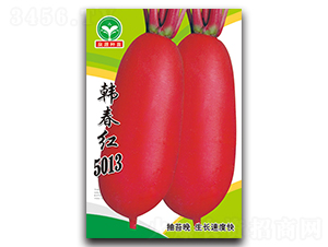 �n���t5013-�}���N��-ȪԴ