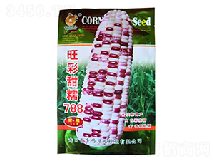 ������Ŵ788-��Ŵ���׷N��-���R�_Ԫ