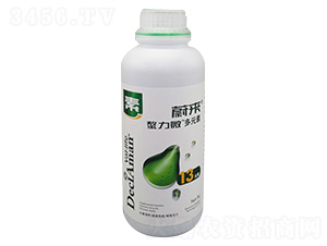 ��������13Ԫ��-ε��-�����P�r(n��ng)