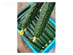 ����778-�S�ϷN��-��V�r(n��ng)�I(y��)