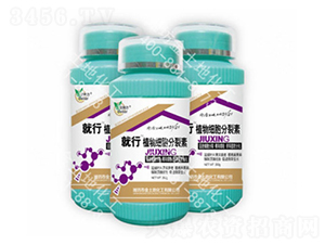 ֲ�：(x��)��������-����-������ 