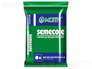 �ָ���ጷ�-������