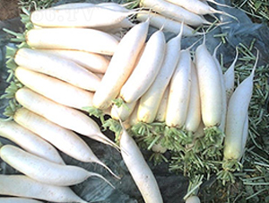 �M���}��-�}���N��-�M��N��