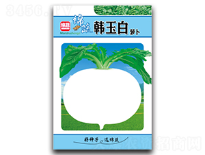 �n���-�}���N��-�d�߷N�I(y��)