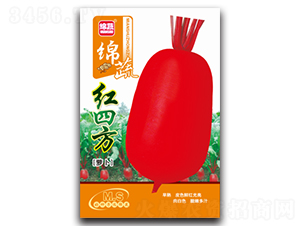 �t�ķ�-�}���N��-�d�߷N�I(y��)