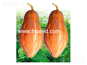 ̩����-�ϹϷN��-���؈@ˇ