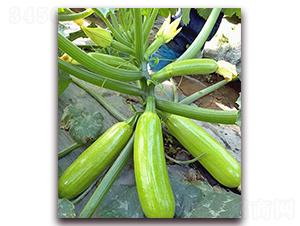 �P����-�����J�N��-���_(d��)