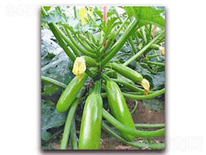 �����W-�����J�N��-���_(d��)