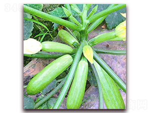 ��¡-�����J�N��-���_(d��)