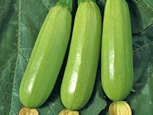 �G�S-�����J�N��-���_(d��)