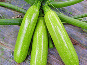 ����-�����J�N��-���_(d��)