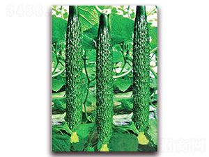 ���_(d��)5̖-�S�ϷN��-���_(d��)