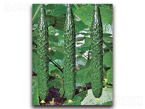 ���_(d��)2̖-�S�ϷN��-���_(d��)