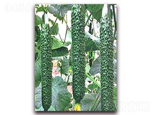 ���_(d��)2̖-�S�ϷN��-���_(d��)