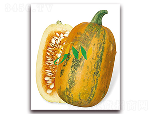 ���\(y��n)��(l��i)-���������J-�I(y��ng)�ھ���