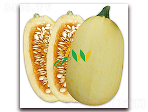 ���yԪ��-���������J�N��-�I(y��ng)�ھ���