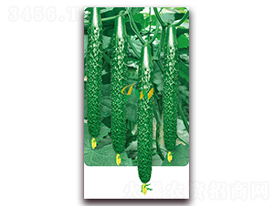 �n��100-�S�ϷN��-�I�ھ���