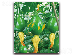 �����-�ϹϷN��-�I�ھ���