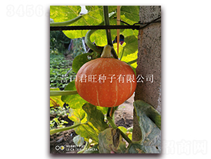 ��̫�2̖-�ϹϷN��-�I�ھ���