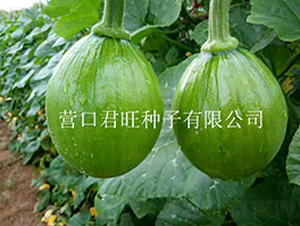 �n������-�ϹϷN��-�I�ھ���