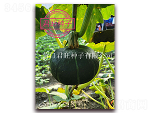 ���@-�ϹϷN��-�I�ھ���