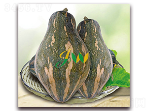 �����Ϲ�-�ϹϷN��-�I�ھ���