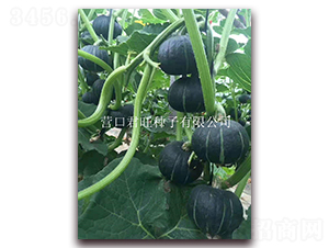 ����2̖(h��o)-�ϹϷN��-�I(y��ng)�ھ���