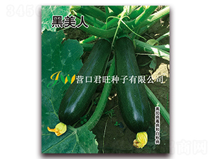 ������-�����J�N��-�I(y��ng)�ھ���