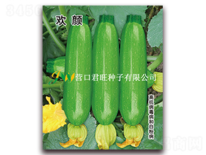 �g�-�����J�N��-�I(y��ng)�ھ���