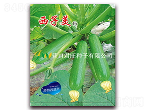 ������-�����J�N��-�I(y��ng)�ھ���