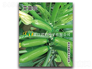 ���Ơ�-�����J�N��-�I(y��ng)�ھ���