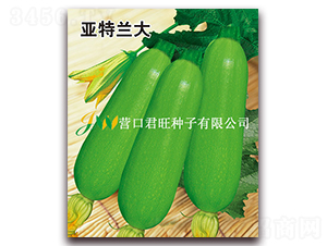 �����m��-�����J�N��-�I(y��ng)�ھ���