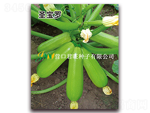 ʥ���_-�����J�N��-�I(y��ng)�ھ���