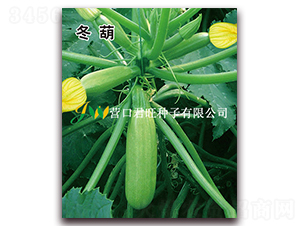 ����-�����J�N��-�I(y��ng)�ھ���