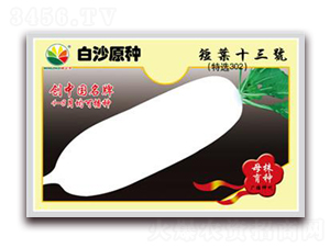 ���~ʮ��̖-�}���N��-�r(n��ng)֮��