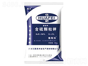 �����w���-�δ�-����