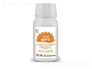 �����o(h��)��-�ɰ��r(n��ng)�I(y��)