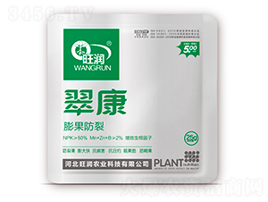 �俵��������ѣ�-����