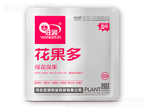 �����ࣨ����������-����