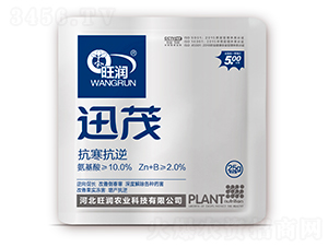 Ӎï���������棩-����