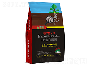 1kg���߰׽���-���~�塤��-�~�׷�