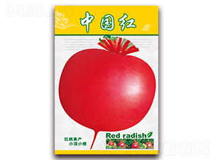 �Ї��t-�}���N��-���ǷN�I(y��)