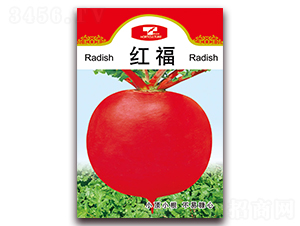 �t��-�}���N��-���ǷN�I(y��)