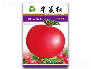 �A�ļt-�}���N��-���ǷN�I(y��)