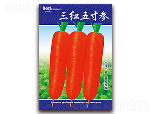 ���t��煢-�}���N��-���ǷN�I(y��)