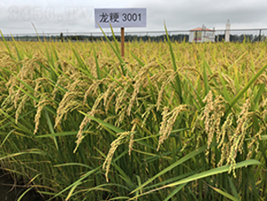 ����3001-ˮ���N��-�S���N�I(y��)