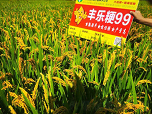 �S����99-ˮ���N��-�S���N�I(y��)