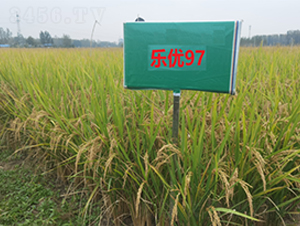 ����(y��u)97-ˮ���N��-�S���N�I(y��)