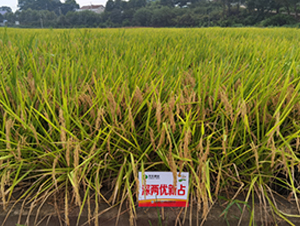 ��Ƀ�(y��u)��ռ-ˮ���N��-�S���N�I(y��)